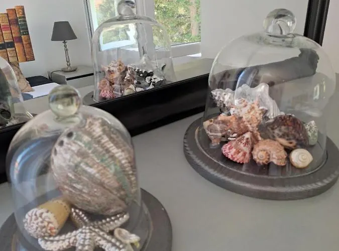 Dominique, With Private Terrace 苏佩塔斯卡德拉加